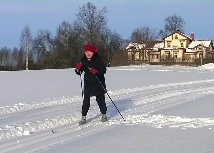 Vila Loeydoen Kartano Mikkeli